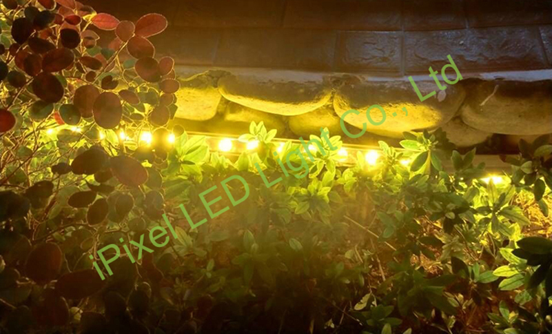 Application of wall washer light