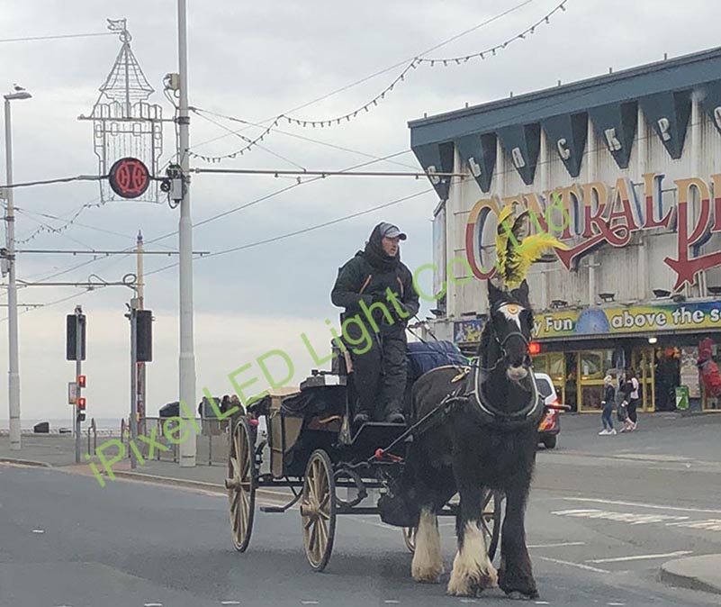 RGB LED Neon Decoration in Blackpool UK